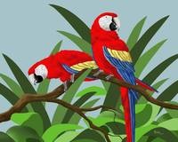 parrot art